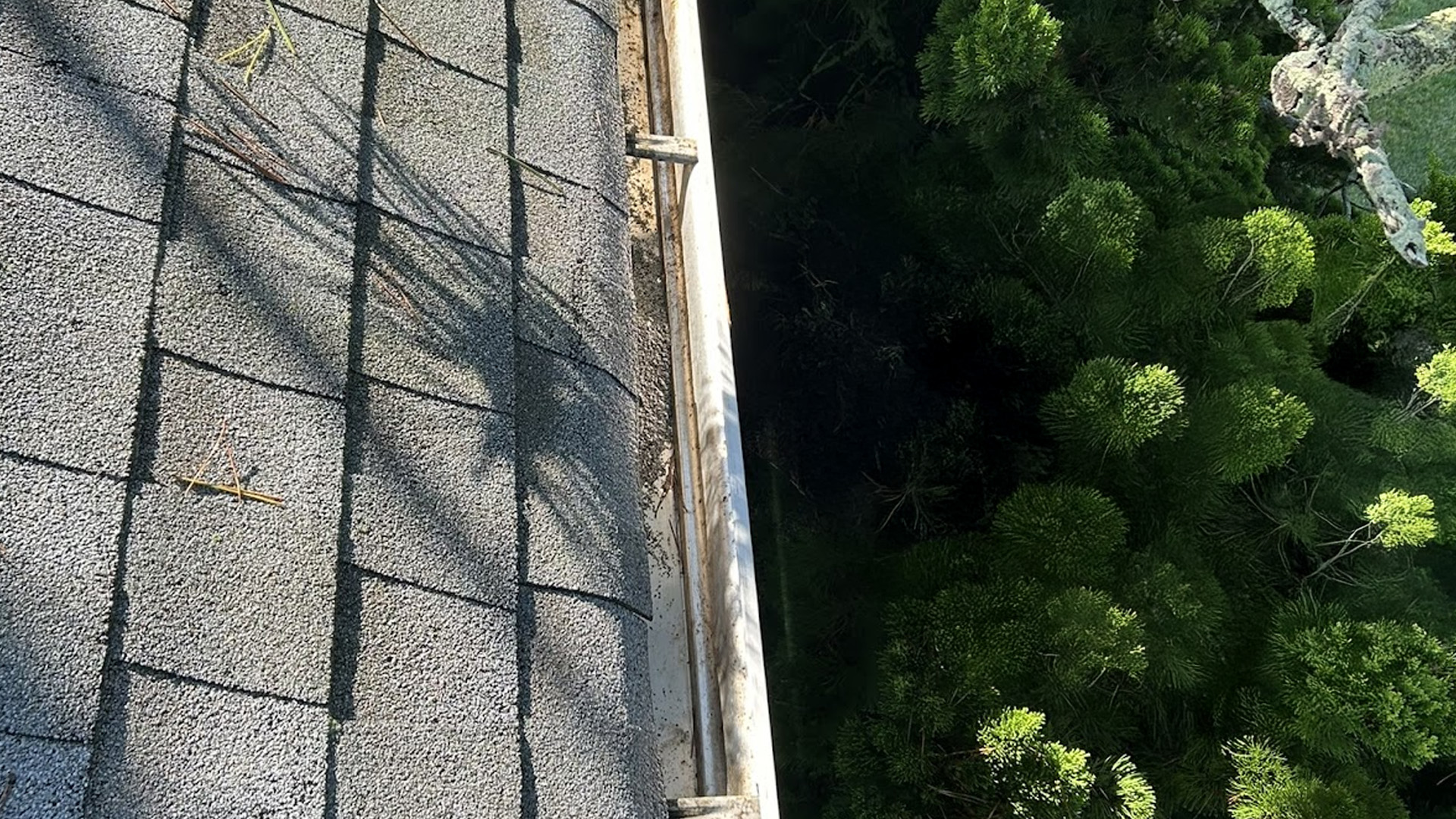High-angle view of a clean gutter system alongside a shingle roof from a gutter cleaning in Long Island.