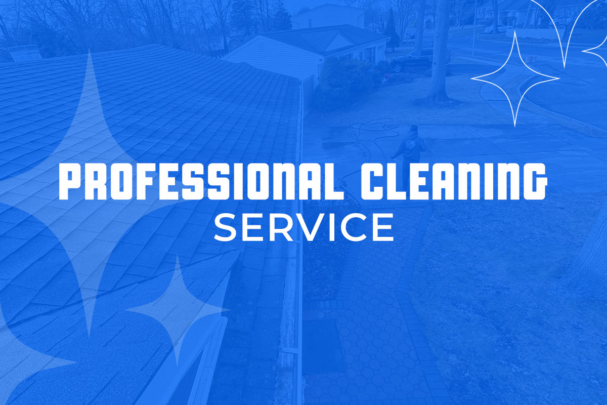 Step 3: Professional Cleaning Service